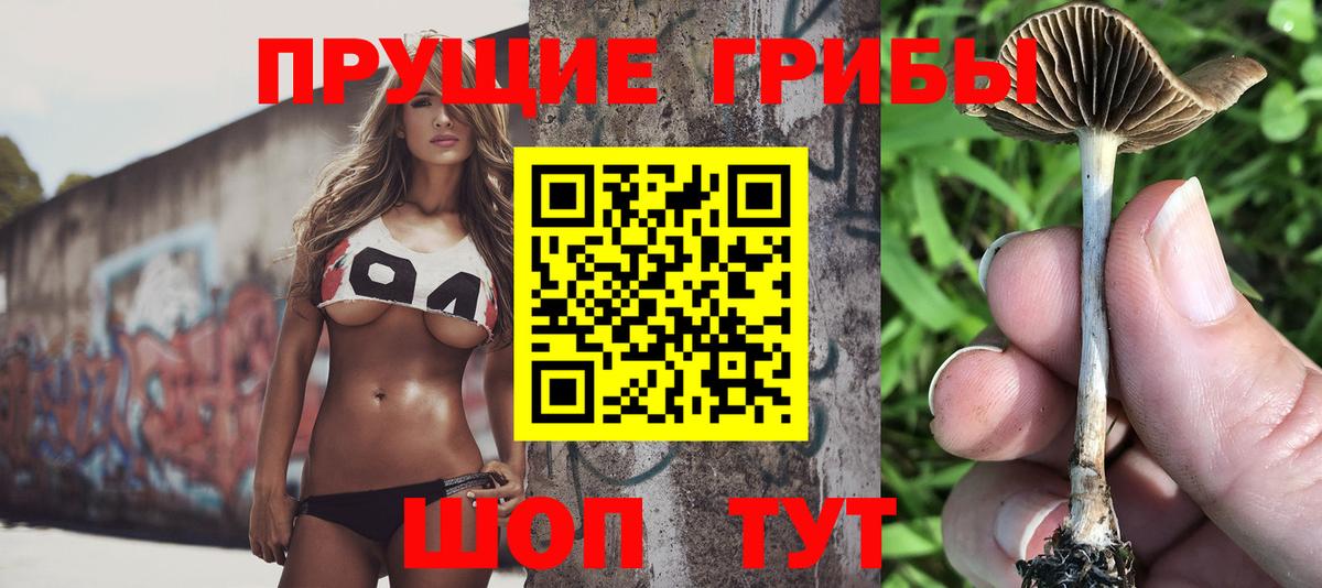Ишимбай  Псилоцибиновые грибы ЛСД  Вход с VPN  Галлюциногенные грибы GOLDEN TEACHER 
